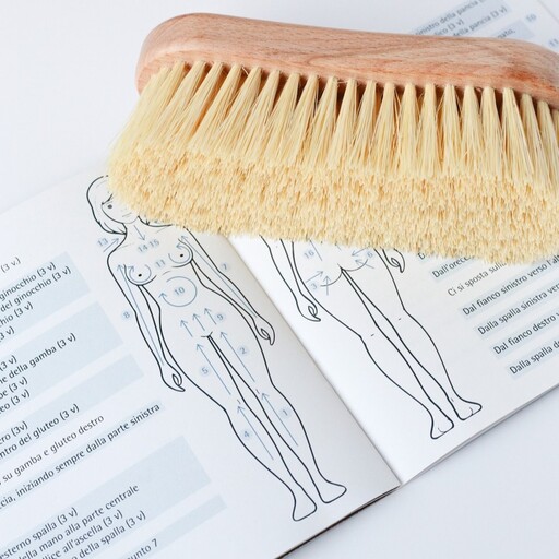 Reset Dry Brushing